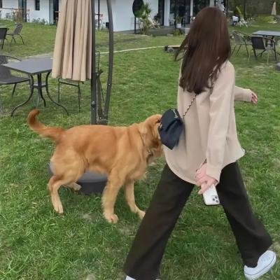 破了你的防